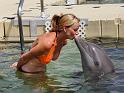 27 Grand Cayman, Dolphin Cove